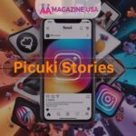 picuki stories