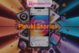 picuki stories