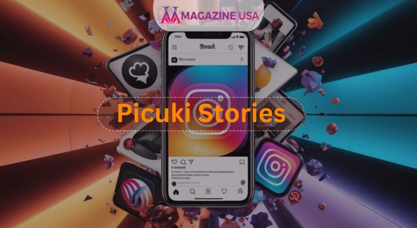 picuki stories